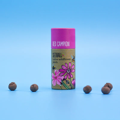 Seed Ball Tube, Red Campion
