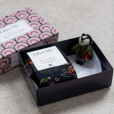 Badger Socks and Keyring Gift Box by Lily and Me