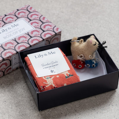 Roller Skates Cat Socks and Keyring Gift Box by Lily and Me