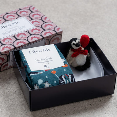 Party Penguin Socks and Keyring Gift Box by Lily and Me