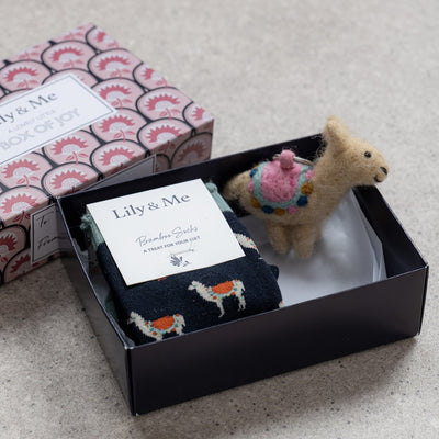 Lovely Llama Socks and Keyring Gift Box by Lily and Me