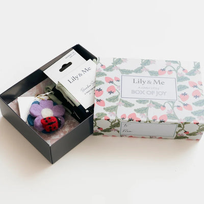 Lucy Ladybird Socks and Keyring Gift Box by Lily and Me