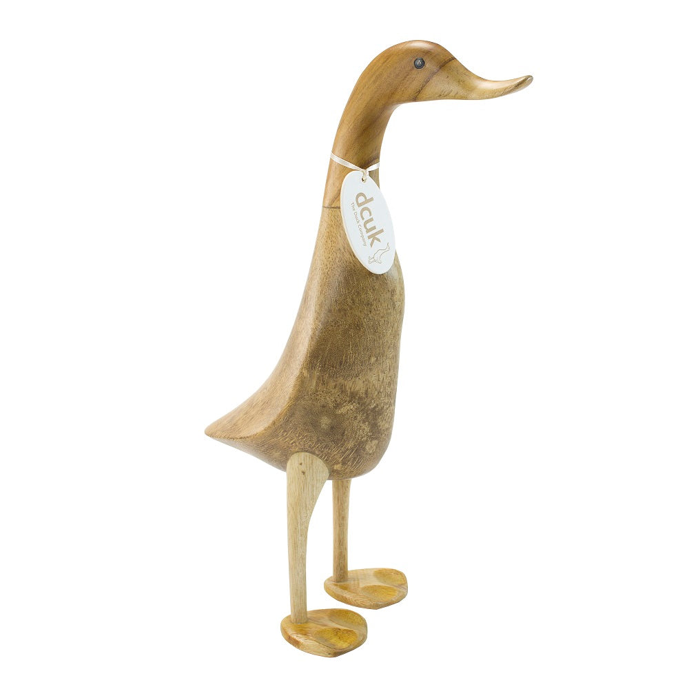 what the duck付属品 innovation unviversity IT Developer Duck - Krakow Duck Store
