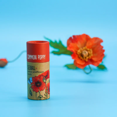 Seed Ball Tube, Poppy