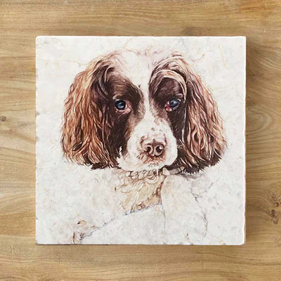 Springer Spaniel Natural Stone Marble Coaster