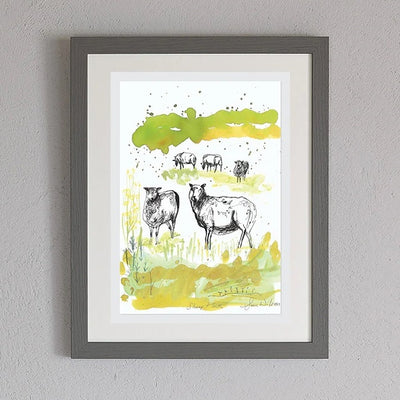 Sheep Flock Framed Print by Sam Wilson
